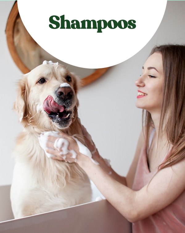 Shampoos